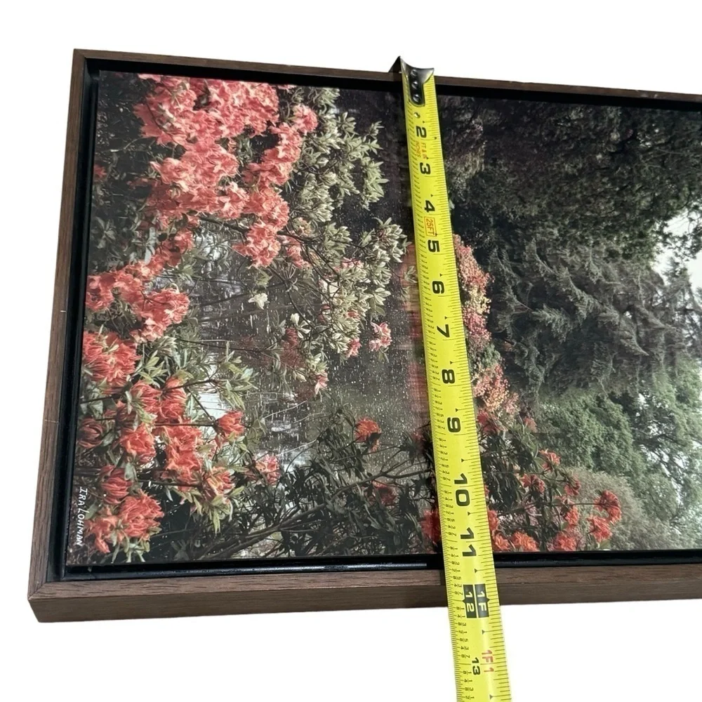Lohman Photography‎ Coral Azaleas Exbury Gardens  Custom Wood Frame Print 12x15